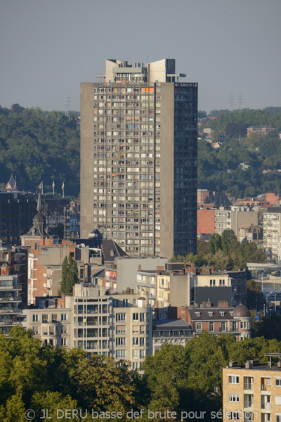 Liège - panorama